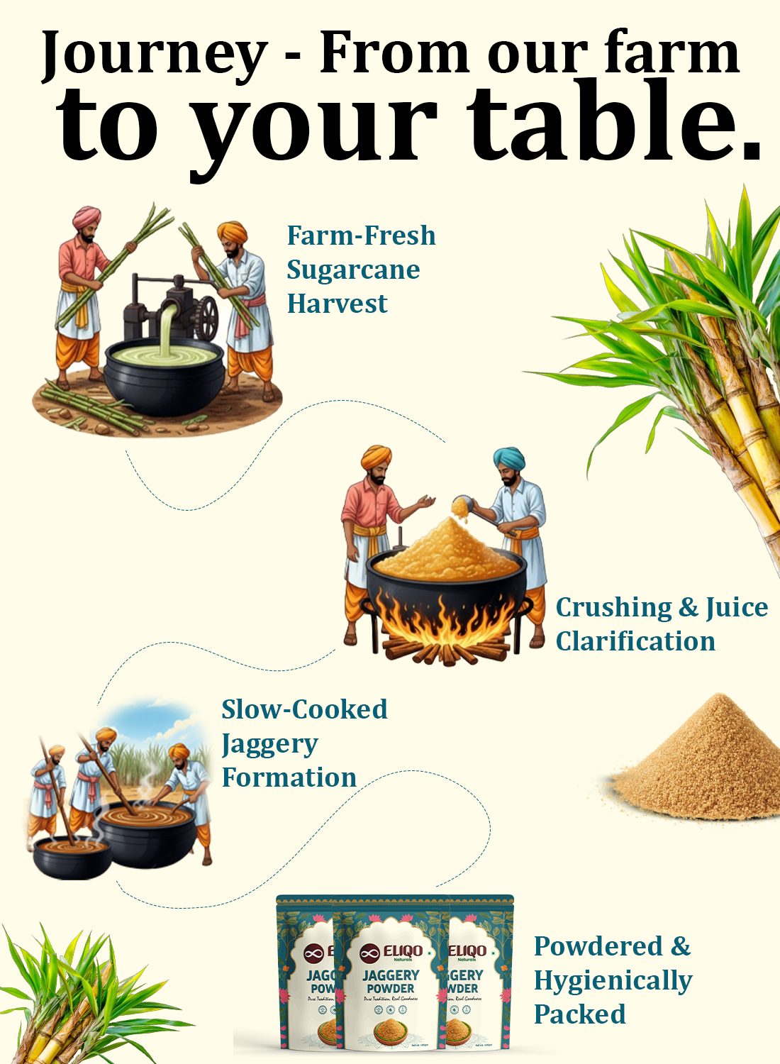 Jaggery powder farm to table process – sugarcane harvesting, processing, and natural packaging