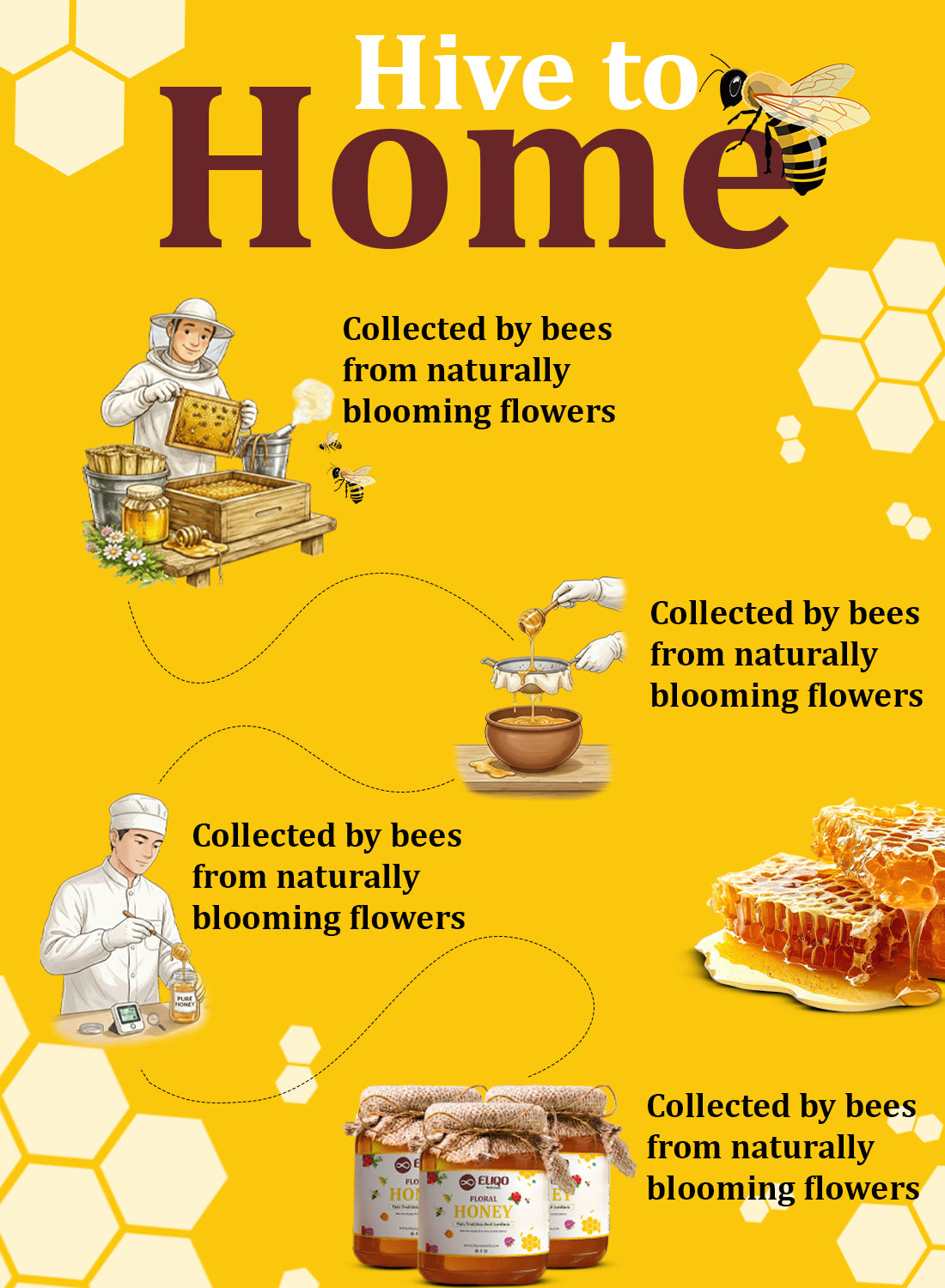 Multifloral natural honey farm to table journey – beekeeping, extraction, and natural processing
