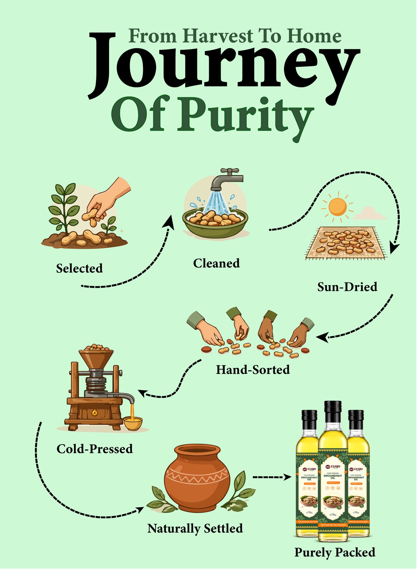Groundnut Oil – Pure Cold Pressed Peanut Oil | Wood Pressed & Chemical-Free