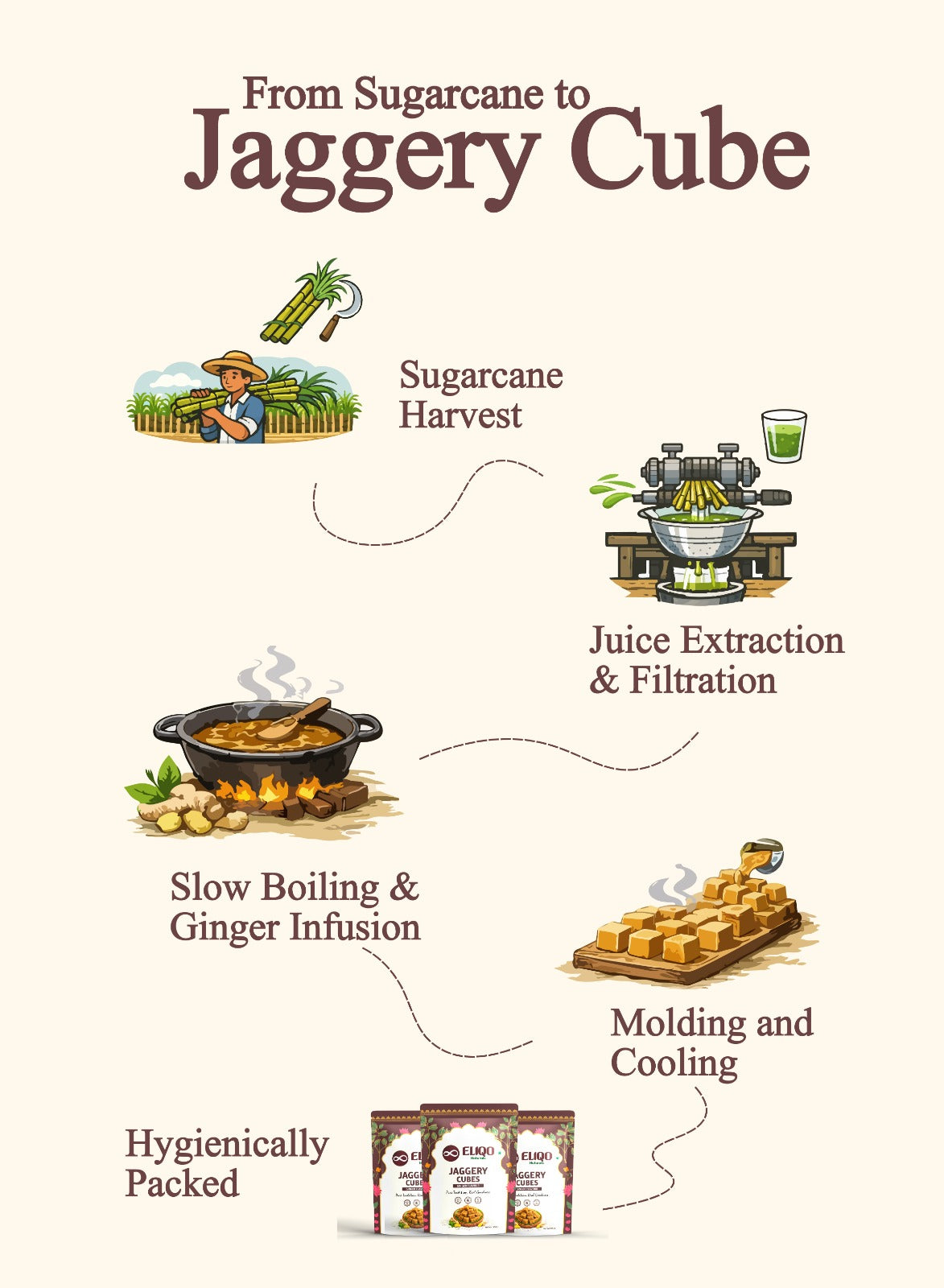 Jaggery ginger cubes farm to table journey – sugarcane processing with natural ginger infusion