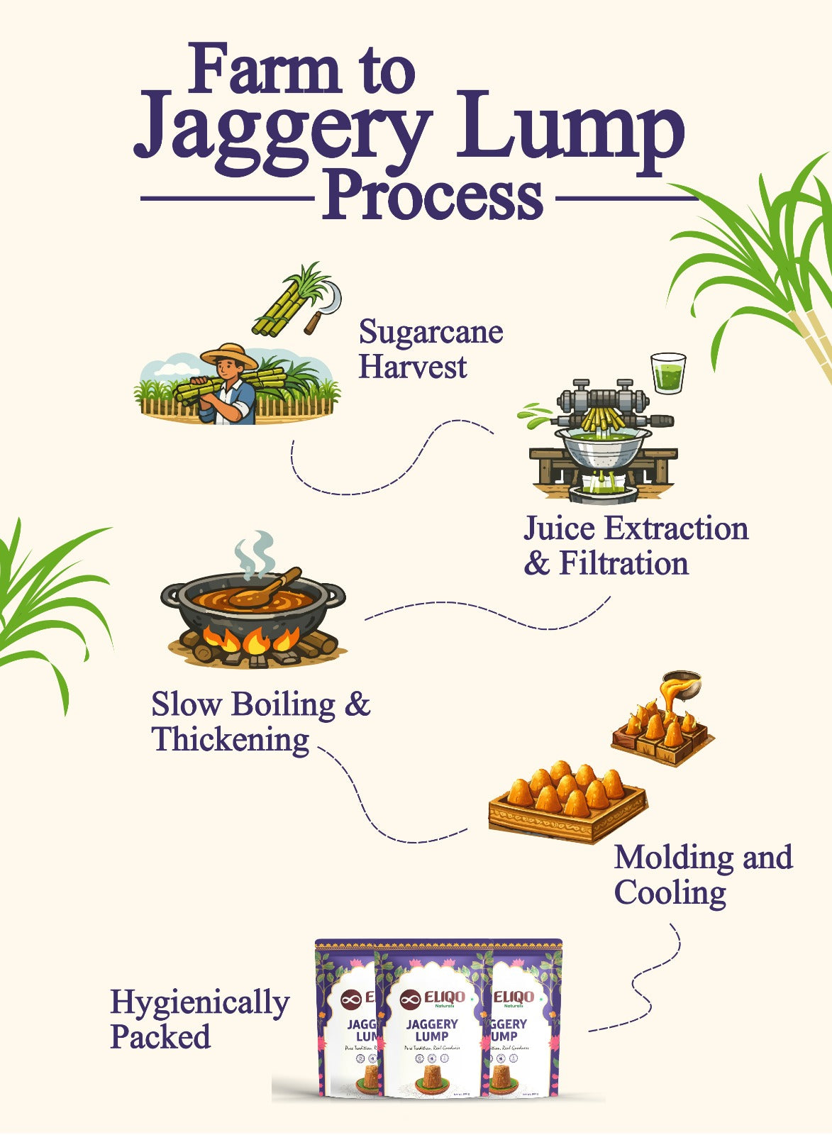 Jaggery lump farm to table journey – sugarcane harvesting, traditional processing, and packaging